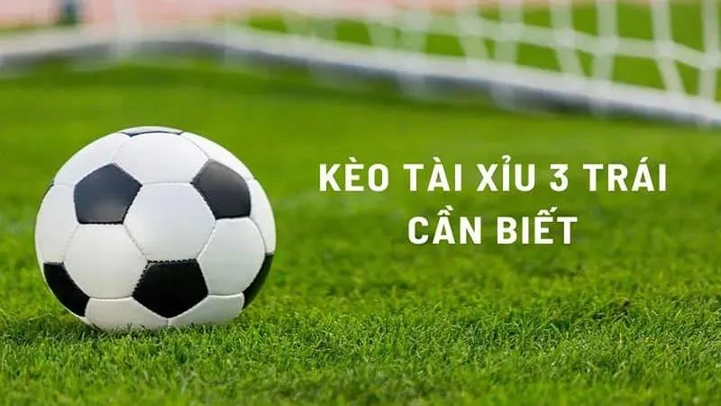 Cách đọc kèo tài xỉu 3 trái chuẩn từ cao thủ